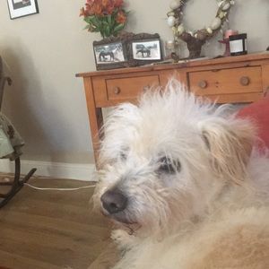 Meet your Posher, Christy